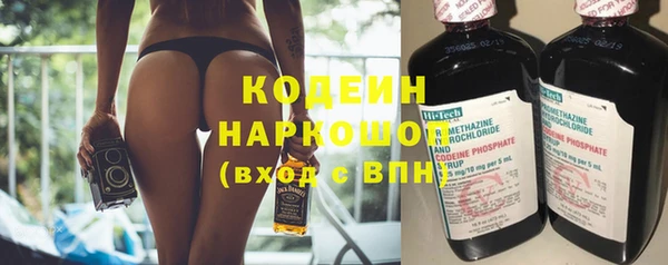 прущие грибы Балахна