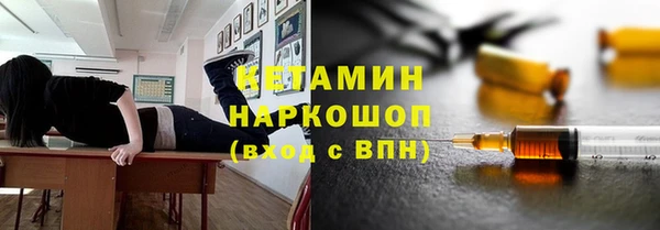 прущие грибы Балахна