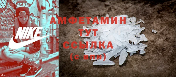 прущие грибы Балахна