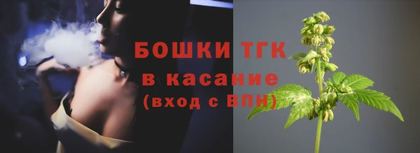 прущие грибы Балахна