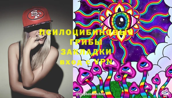 прущие грибы Балахна