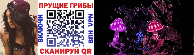 Псилоцибиновые грибы Psilocybine cubensis Верхнеуральск